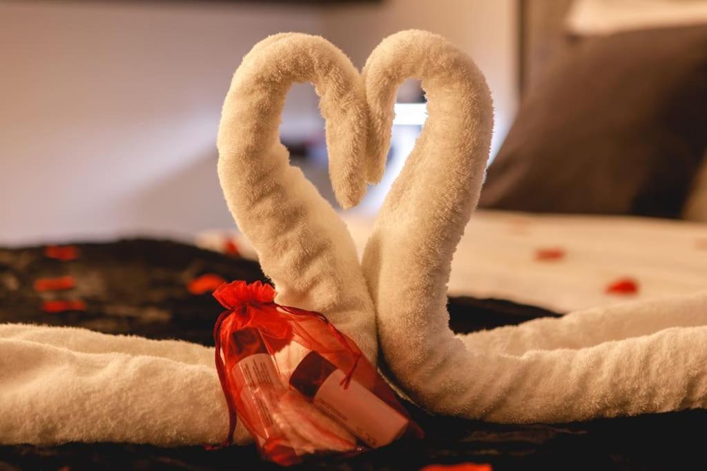 My Love Nest Châtillon-sur-Chalaronne Esterno foto